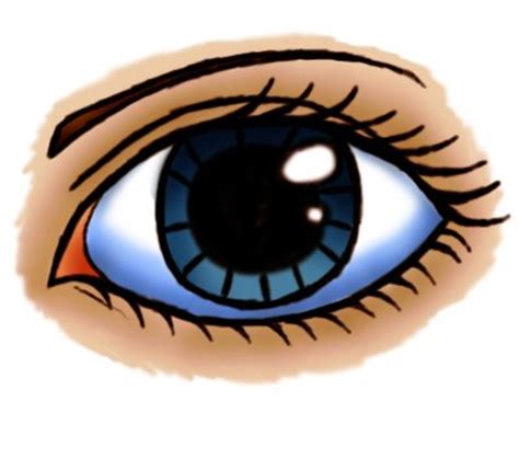 pictures of eyes cartoon|pictures of animated eyes.